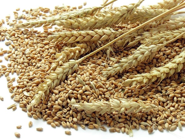 Bột mì được làm từ hạt lúa mì hoặc các loại hạt ngũ cốc khác nghiền nát
